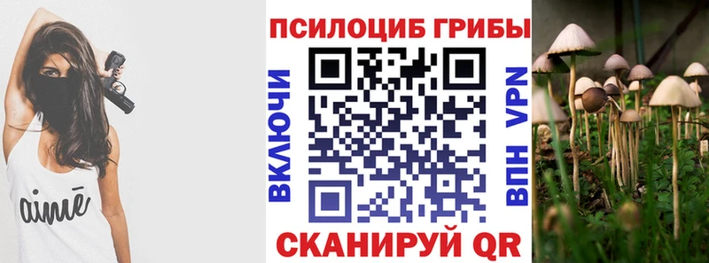 Псилоцибиновые грибы Cubensis  Купить  Дальнереченск 